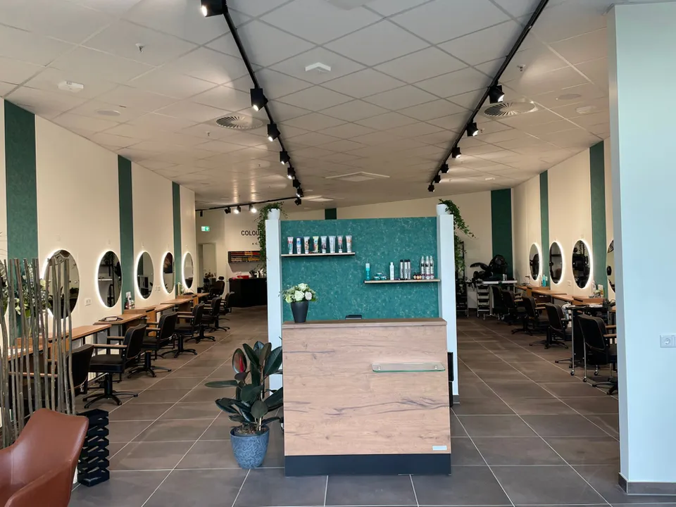 Die farbige Regalwand im Salon